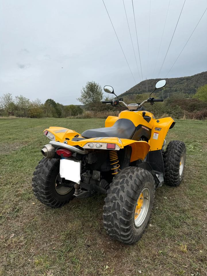  Can am Renegade 800 Allrad 2007 — photo 9