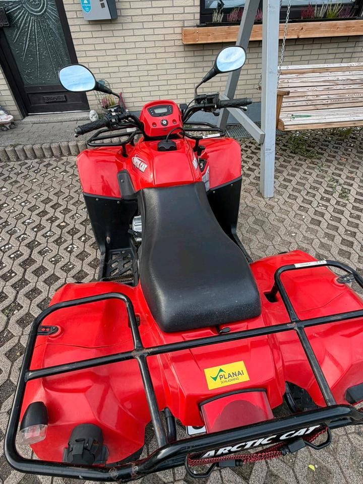 Weitere Motorräder Gelöscht • Quad von Arctic Cat 2008 — photo 10