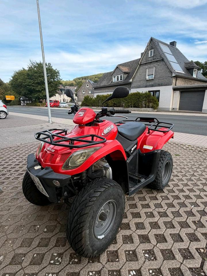 Weitere Motorräder Gelöscht • Quad von Arctic Cat 2008 — rear view