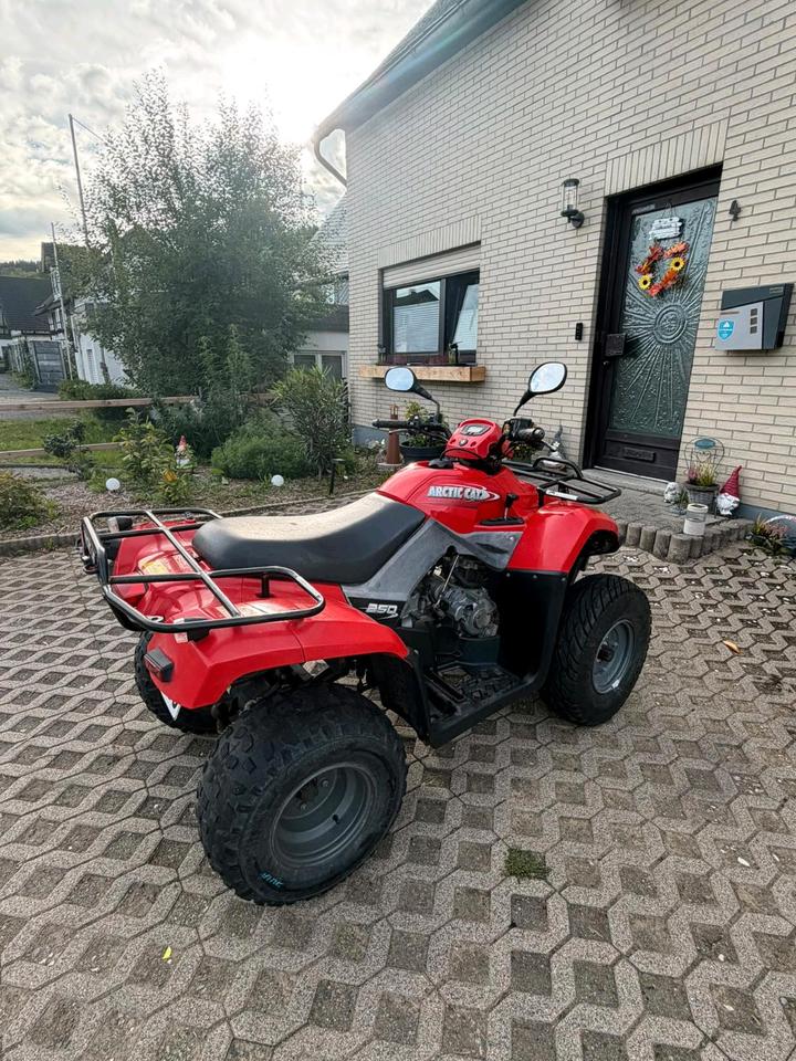 Weitere Motorräder Gelöscht • Quad von Arctic Cat 2008 — interior
