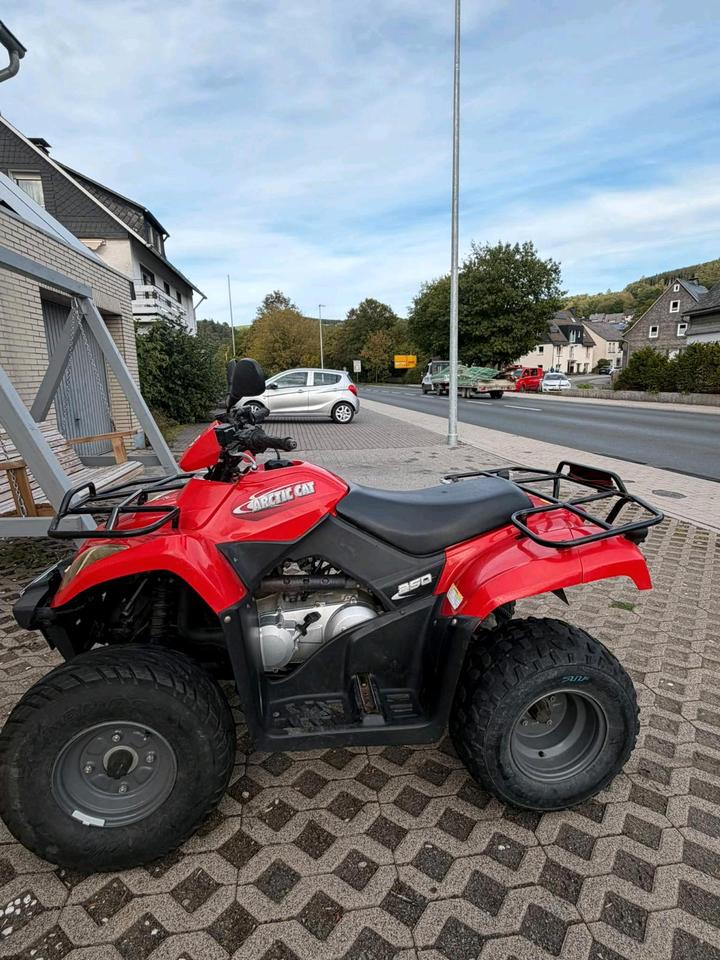 Weitere Motorräder Gelöscht • Quad von Arctic Cat 2008 — engine 249 ccm