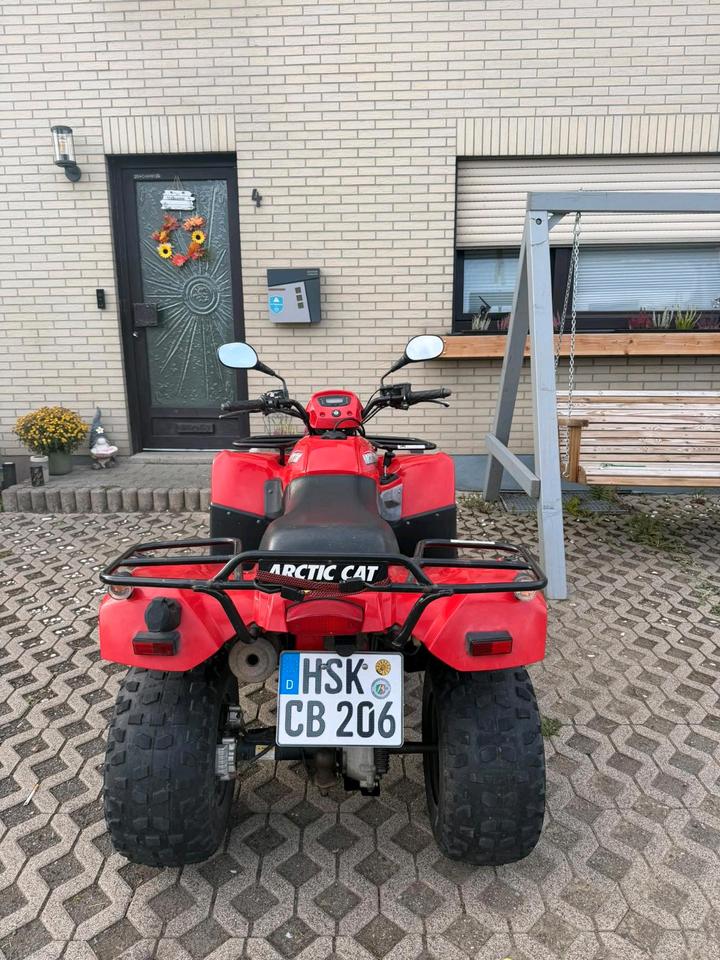 Weitere Motorräder Gelöscht • Quad von Arctic Cat 2008 — photo 7
