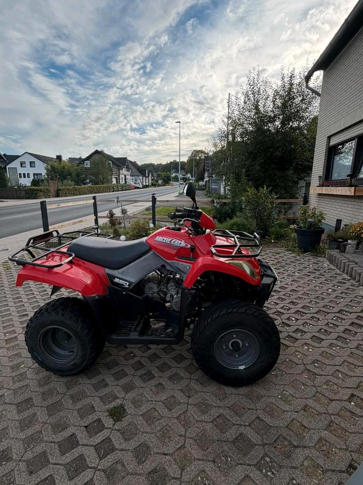 Weitere Motorräder Gelöscht • Quad von Arctic Cat 2008 — photo 8