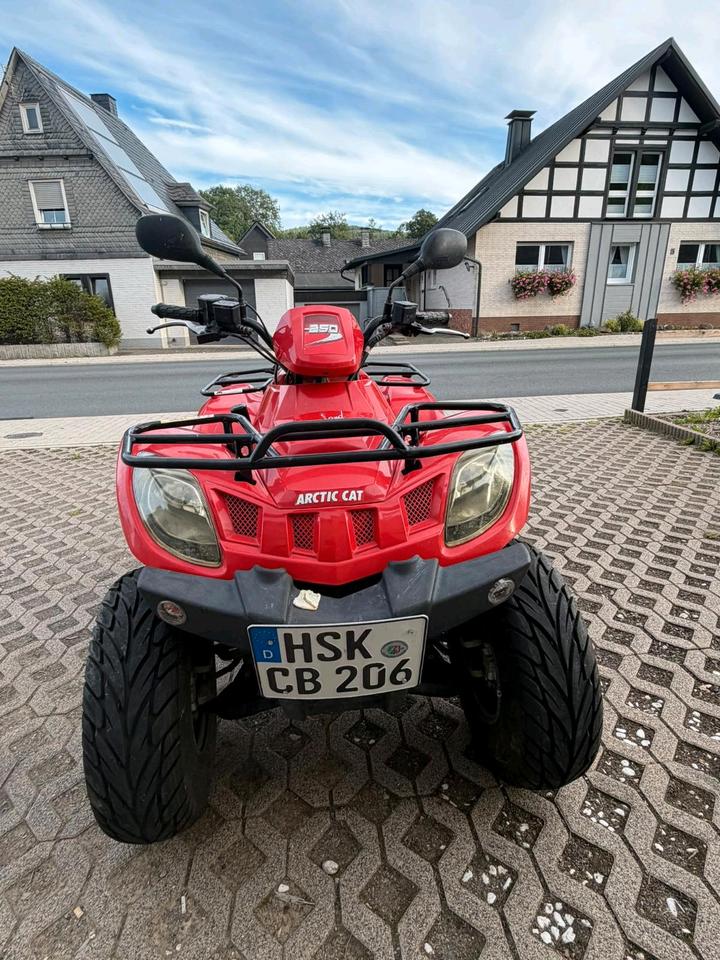 Weitere Motorräder Gelöscht • Quad von Arctic Cat 2008 — photo 9