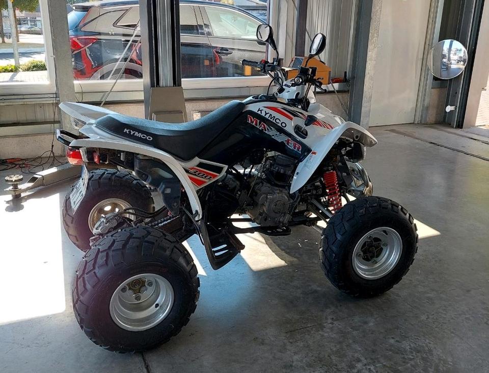 Kymco Maxxer 300, 2010