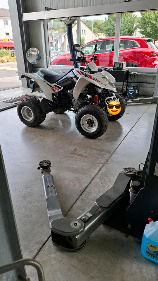 Kymco Maxxer 300 2010 — interior