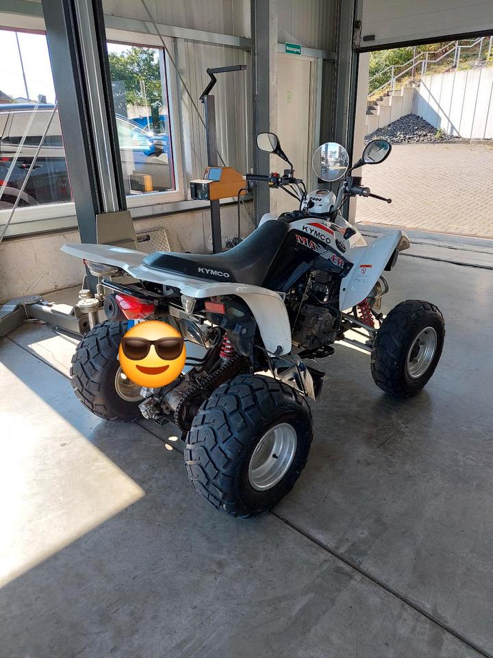 Kymco Maxxer 300 2010 — engine 300 ccm
