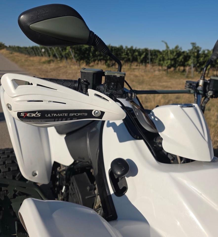 Kymco Quad Kymco Maxxer 300 2015 — rear view