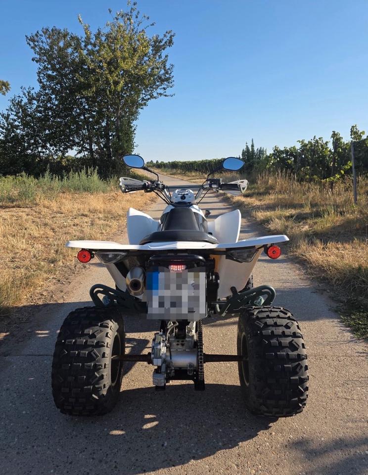 Kymco Quad Kymco Maxxer 300 2015 — interior