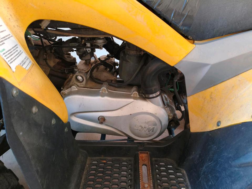 Weitere Motorräder Sanyang Quad UA18A- Baujahr - Motorschaden-Papiere vorhanden 2005 — engine 200 ccm
