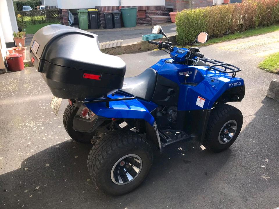 Kymco Gelöscht • Quad Kymco MXU 300 2010 — вигляд ззаду