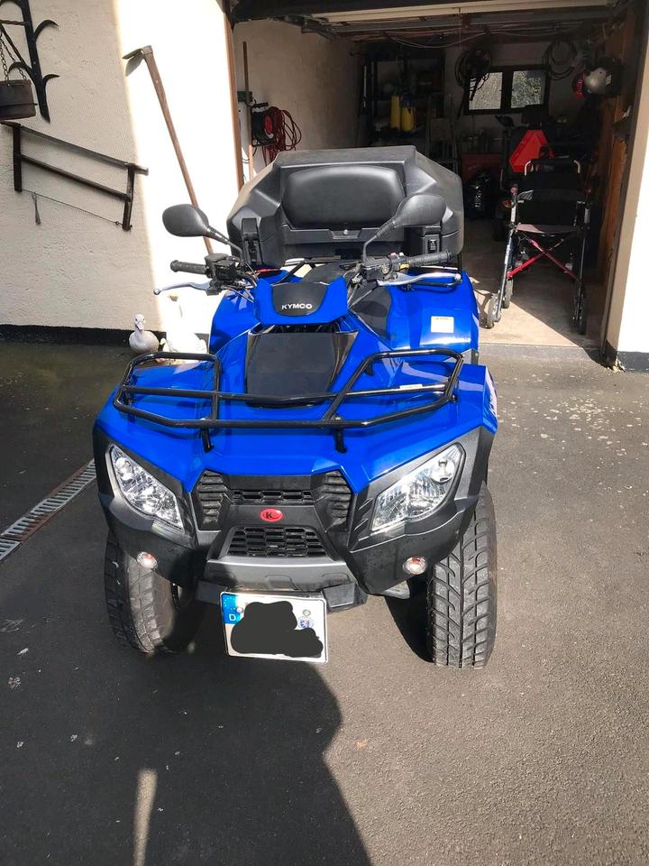 Kymco Gelöscht • Quad Kymco MXU 300 2010 — салон