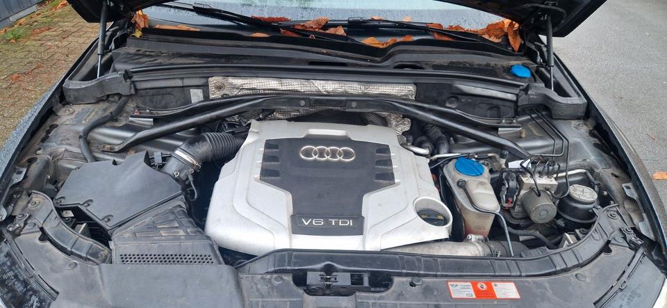 Audi Q5 2010 — photo 15
