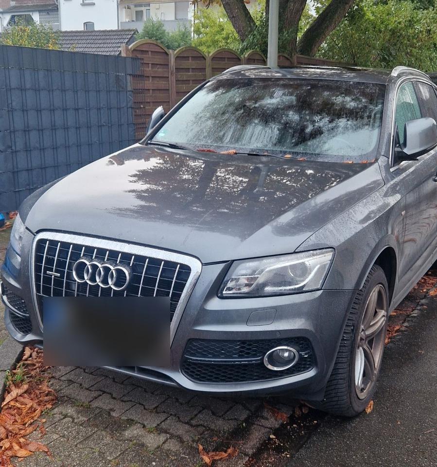 Audi Q5 2010 — rear view