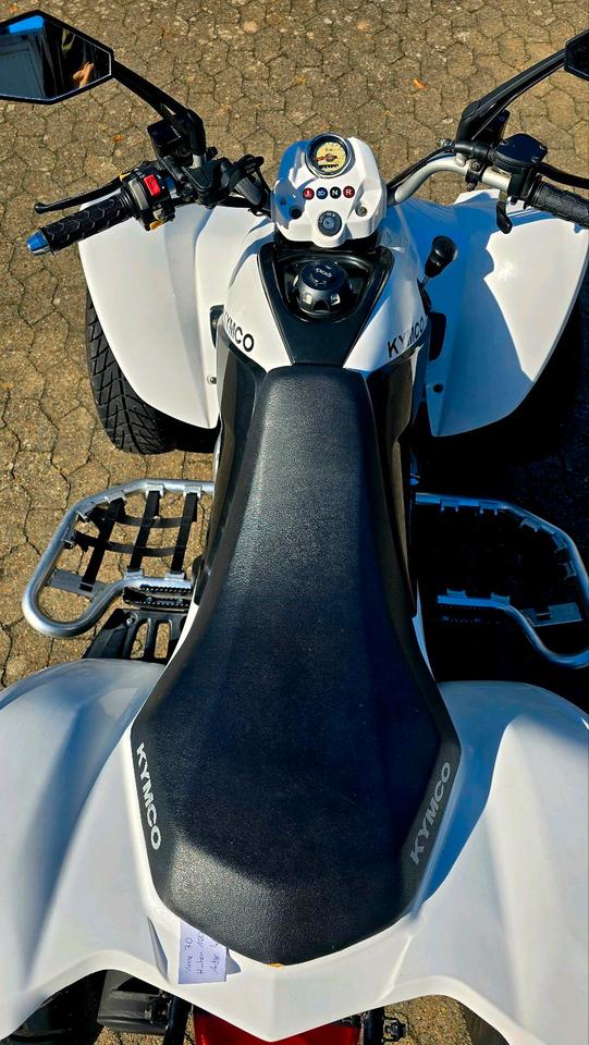 Kymco Maxxer 300 WIDE Quad -Sehr guter Zustand- EZ- 2013 — photo 6