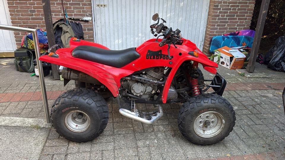 Weitere Motorräder Gelöscht • ATV 300ccm 2004 — салон