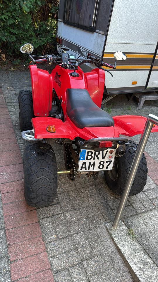 Weitere Motorräder Gelöscht • ATV 300ccm 2004 — фото 7