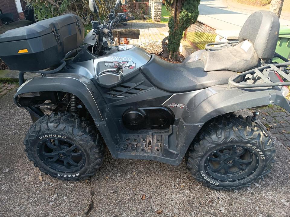 Kymco Quad 2011 — вигляд ззаду