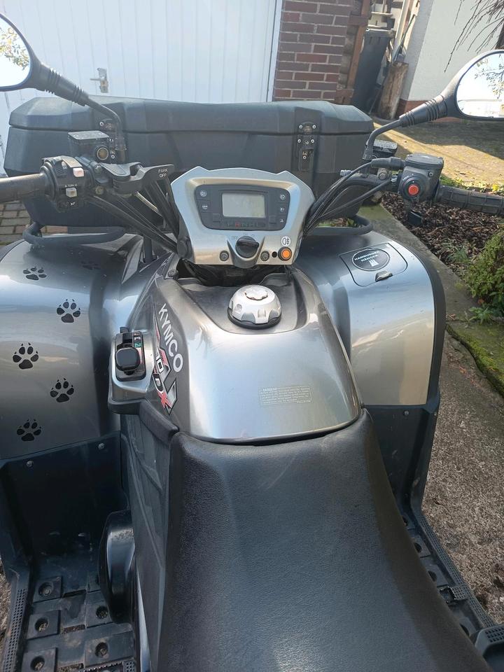 Kymco Quad 2011 — салон