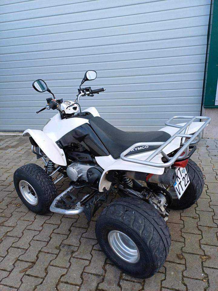 Kymco quad kymco 250ccm Sport zu verkaufen 2009 — салон