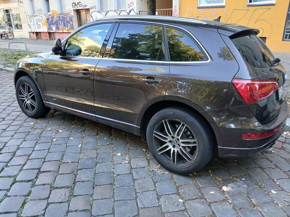 Audi Q5 2011 — вигляд ззаду