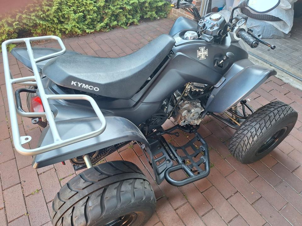 Kymco Quad 300 ccm superMoto 2015 — interior