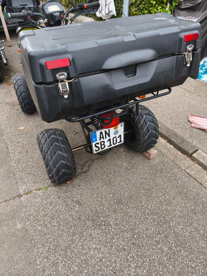 Weitere Motorräder Quad Shinray 200 2007 — photo 6