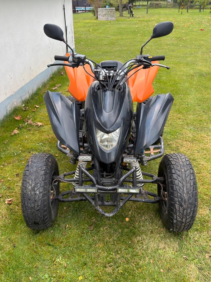 Weitere Motorräder Dinli Quad 901-450 2008 — rear view