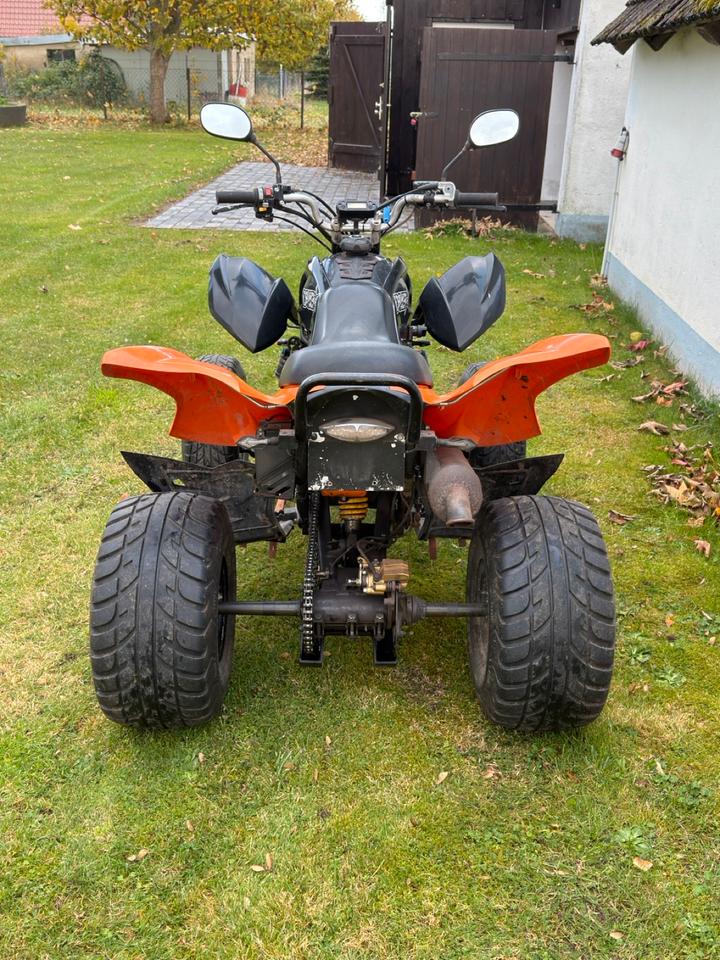 Weitere Motorräder Dinli Quad 901-450 2008 — interior