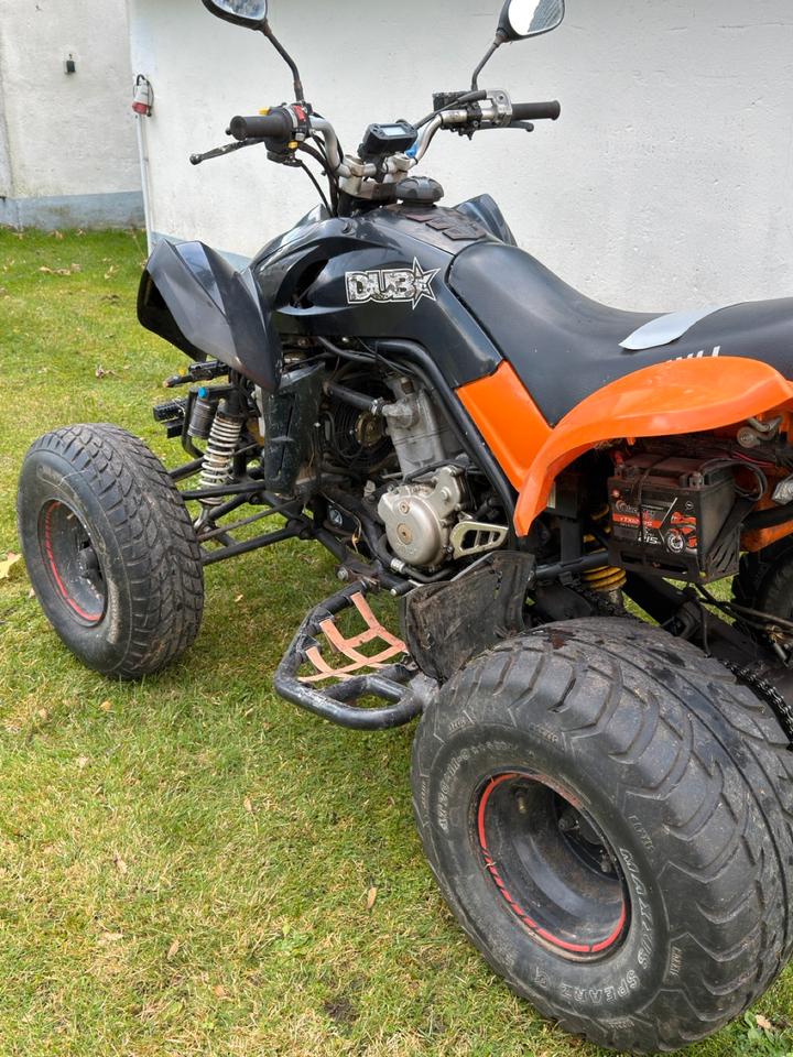 Weitere Motorräder Dinli Quad 901-450 2008 — photo 5