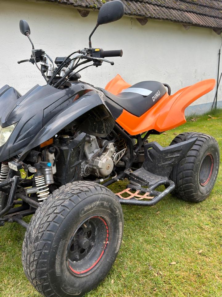 Weitere Motorräder Dinli Quad 901-450 2008 — photo 6