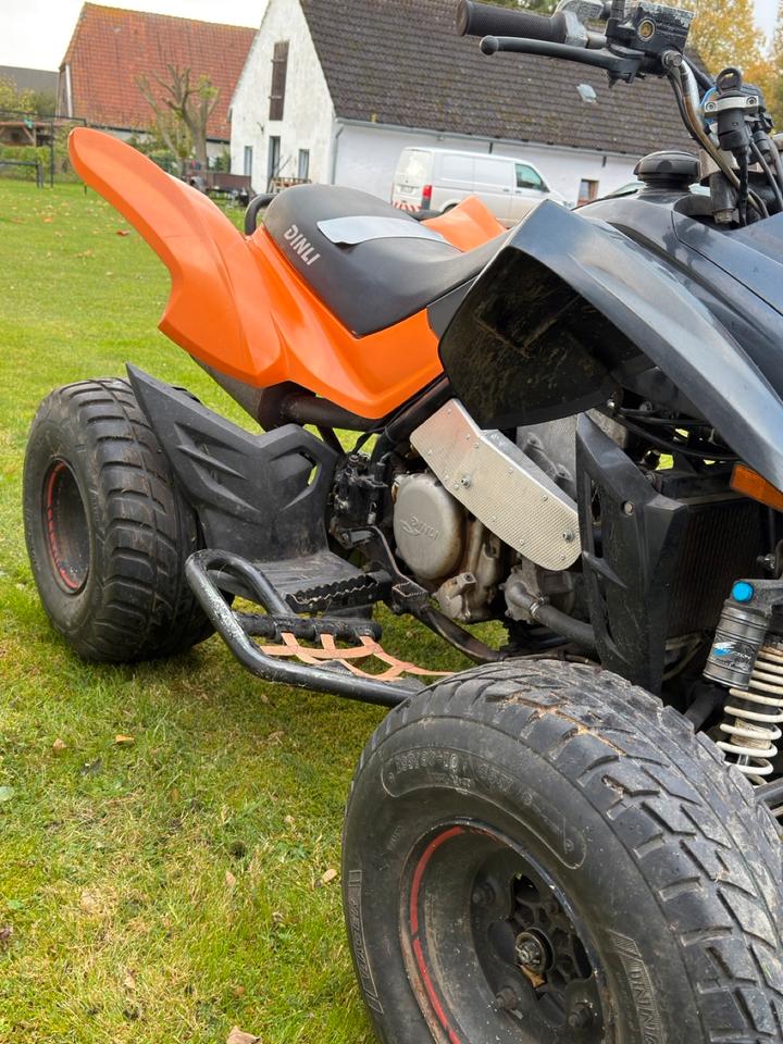 Weitere Motorräder Dinli Quad 901-450 2008 — photo 7