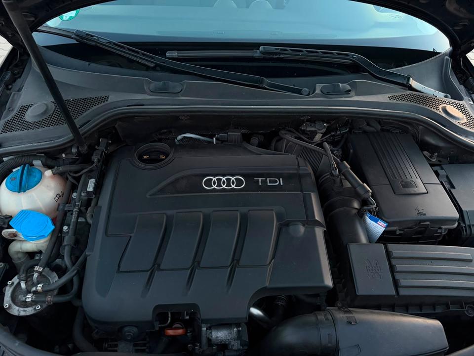 Audi A3 2008 — photo 7