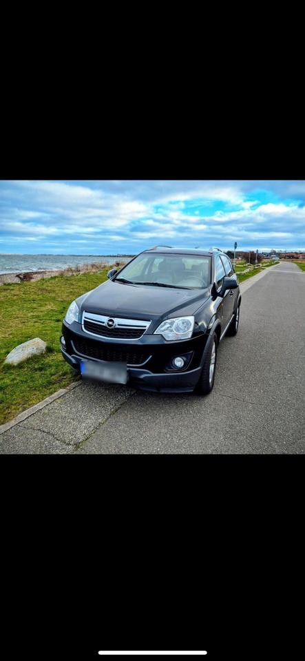 Opel Antara 2015 — rear view