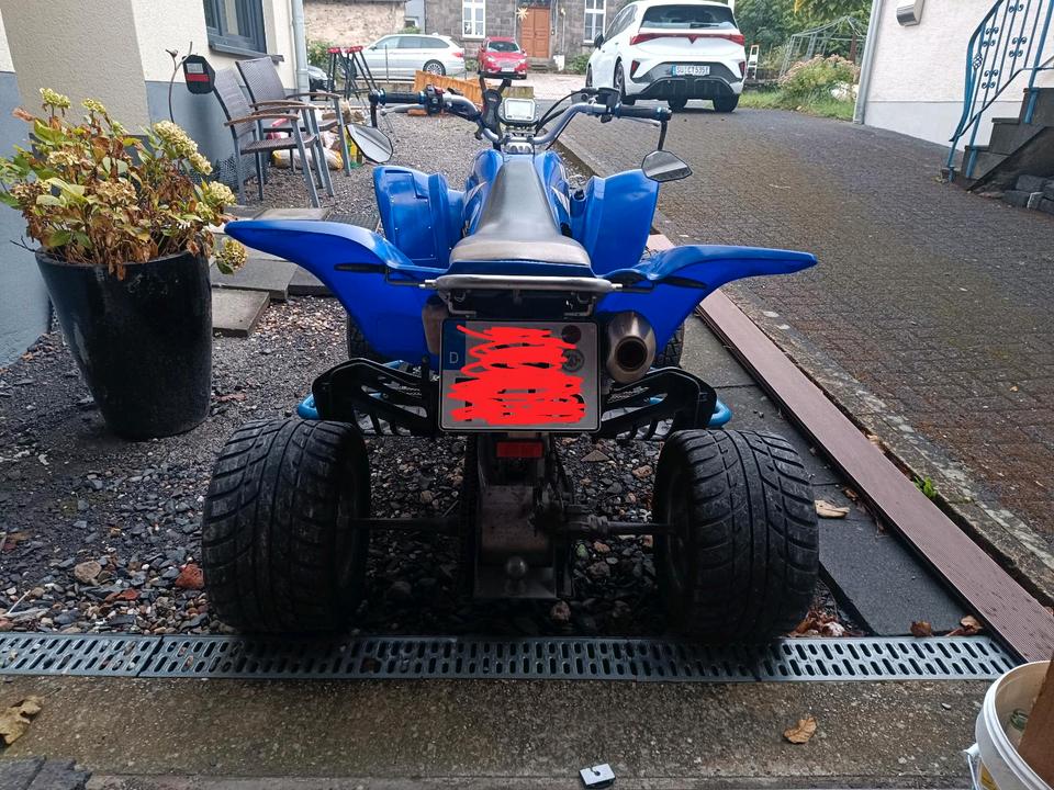 Yamaha Raptor 660 - LOF 2005 — rear view