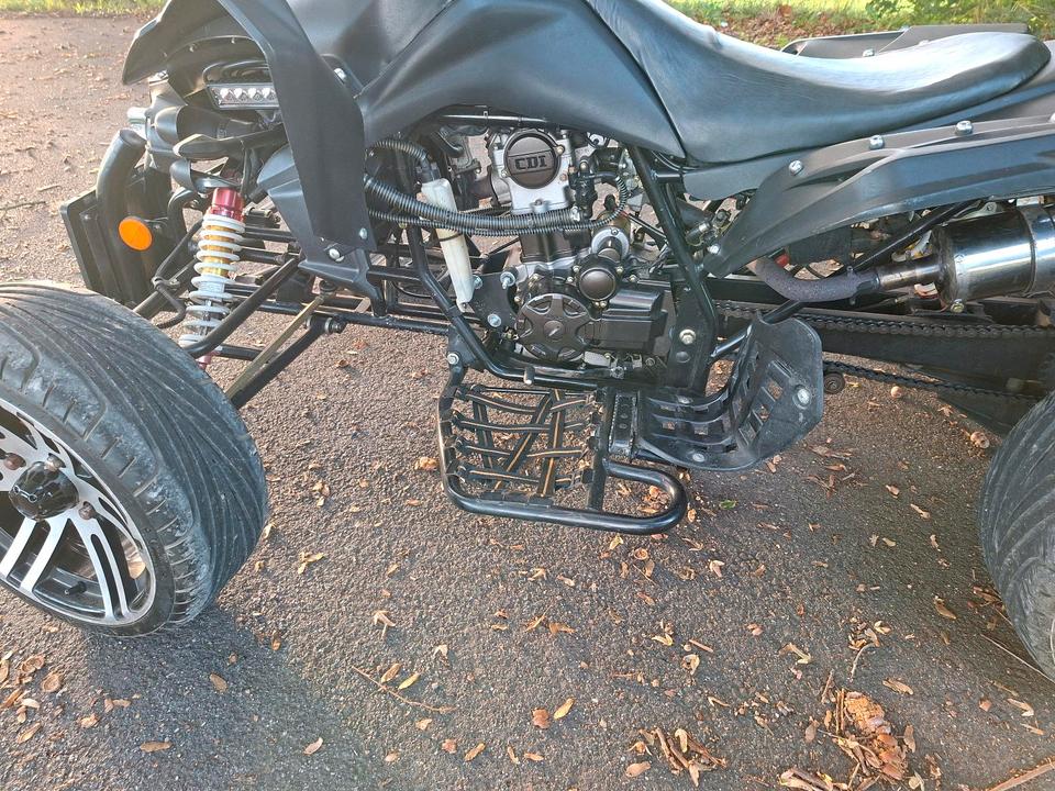 Weitere Motorräder Gelöscht • 250 ccm Renn Quad 2Pers. 14"Felgen RS14SP 2013 — вигляд ззаду