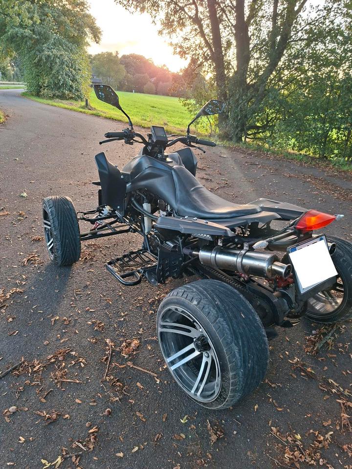 Weitere Motorräder Gelöscht • 250 ccm Renn Quad 2Pers. 14"Felgen RS14SP 2013 — фото 5