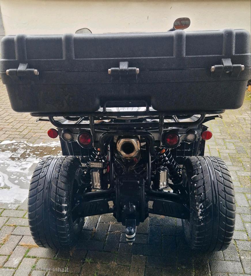 Weitere Motorräder Quad TGB Target 550 IRS 4x4 2011 — rear view