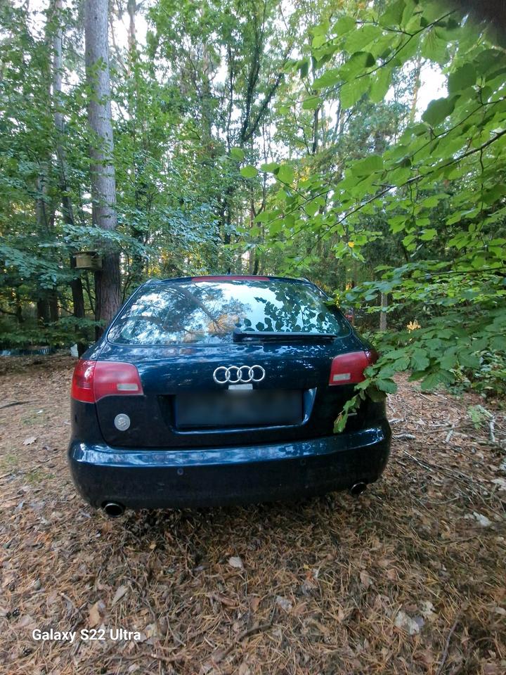 Audi A6 2005 — rear view