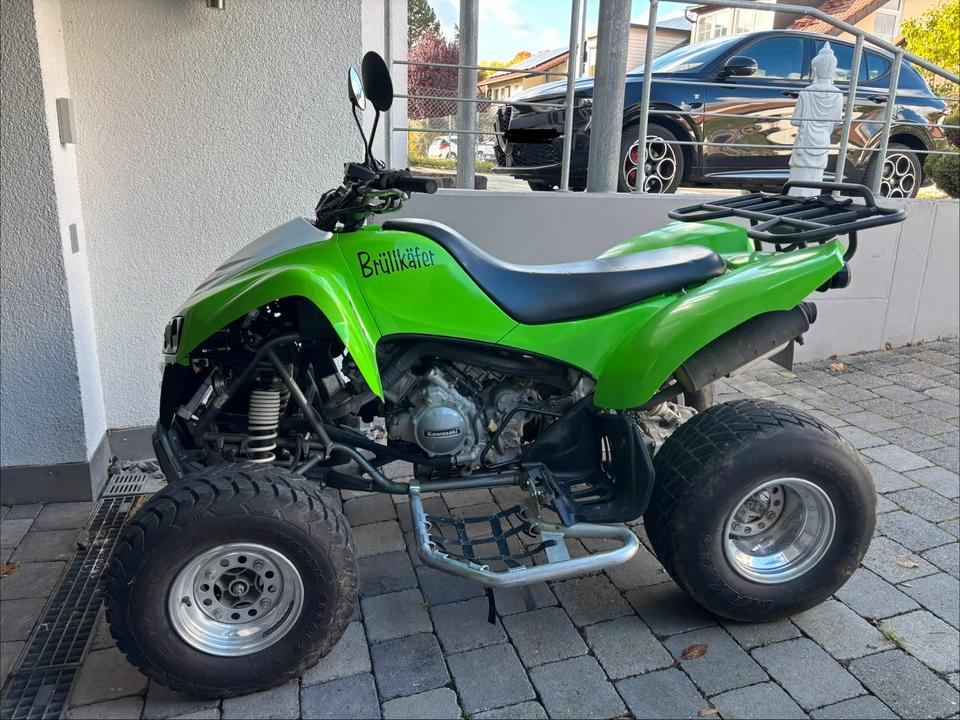 Kawasaki KFX 700 2009 — вигляд ззаду