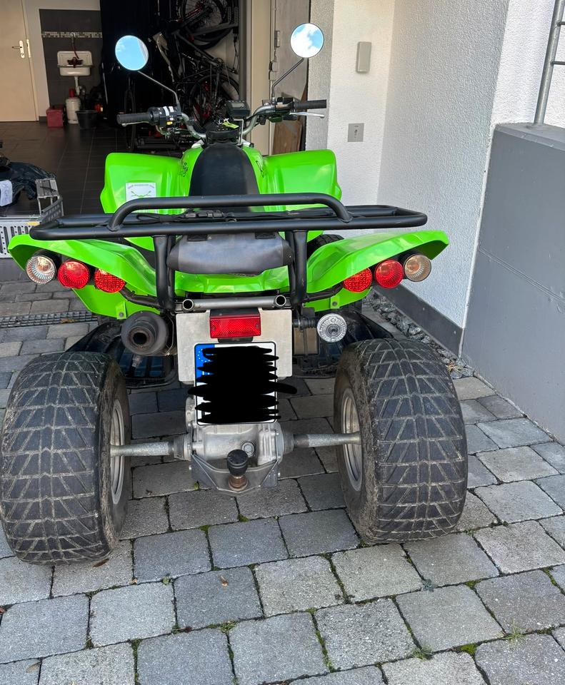 Kawasaki KFX 700 2009 — салон
