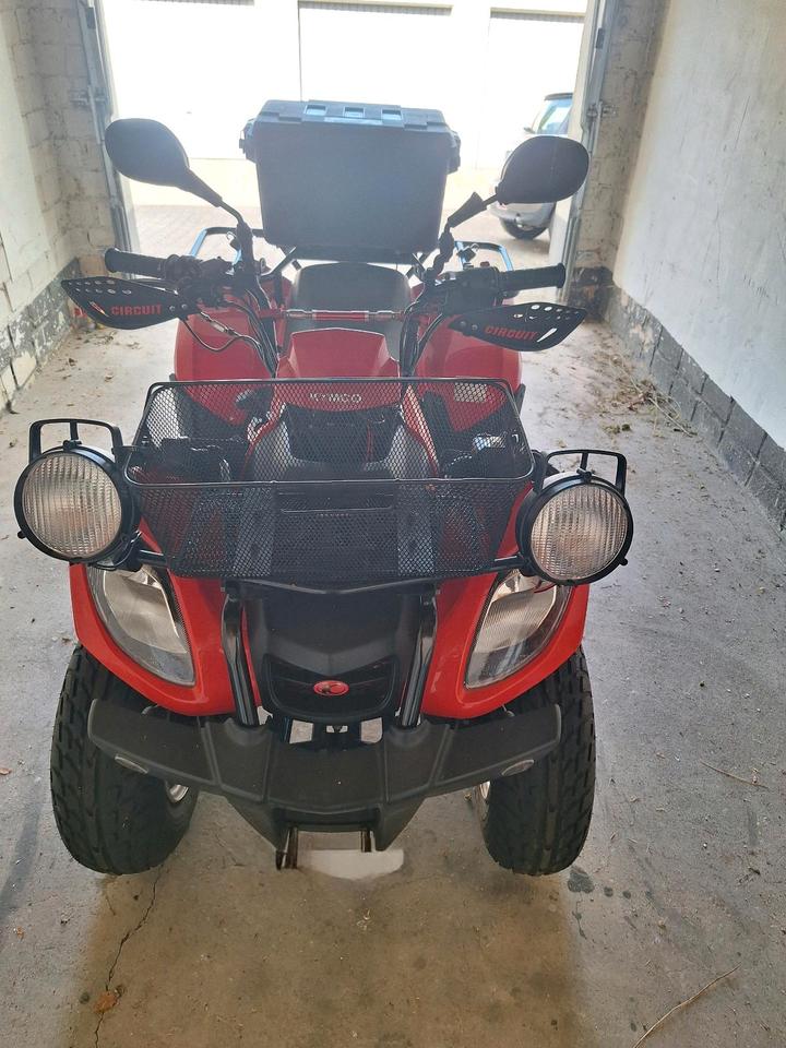 Kymco Quad Kymco 2010 — rear view