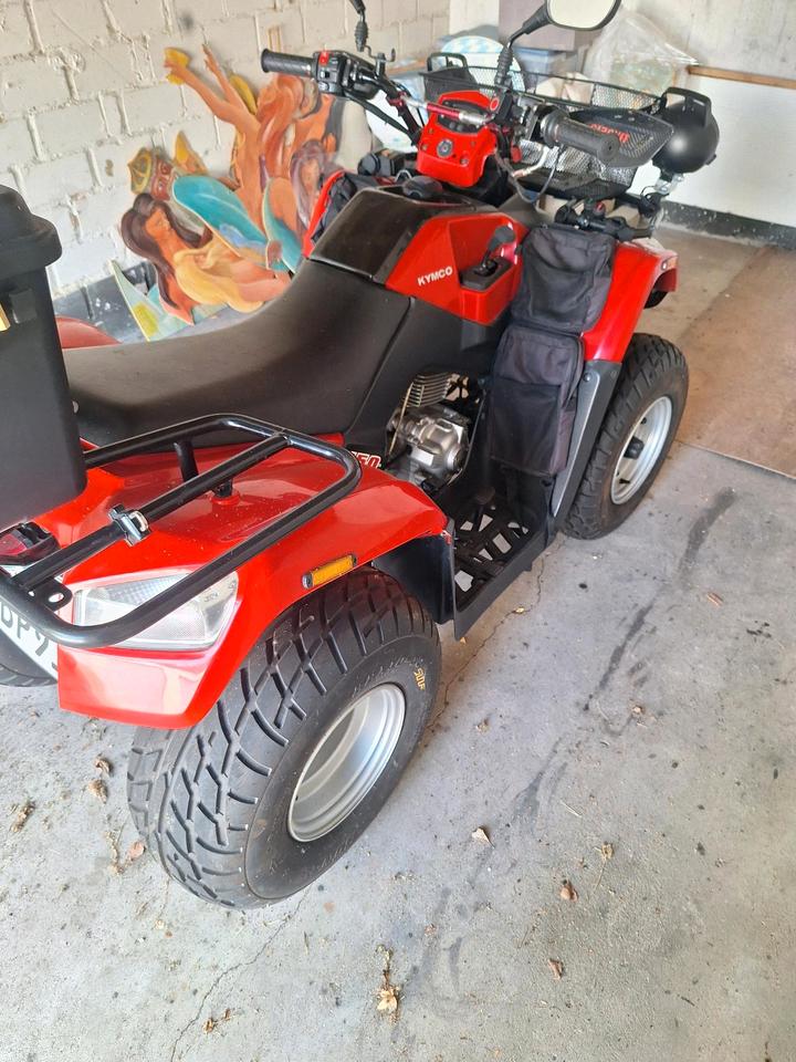 Kymco Quad Kymco 2010 — interior