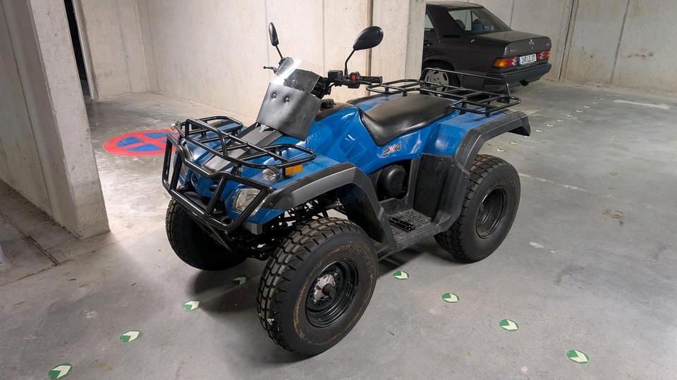 Weitere Motorräder Quad Buyang FA-D300 2x4; AHK; 2.783,6km Laufleistung, 2009
