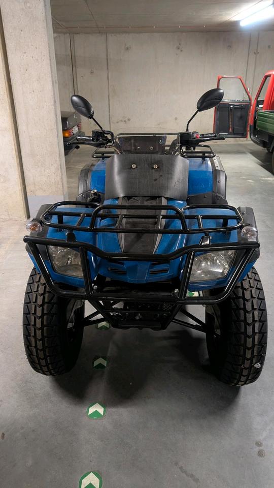 Weitere Motorräder Quad Buyang FA-D300 2x4; AHK; 2.783,6km Laufleistung 2009 — вигляд ззаду