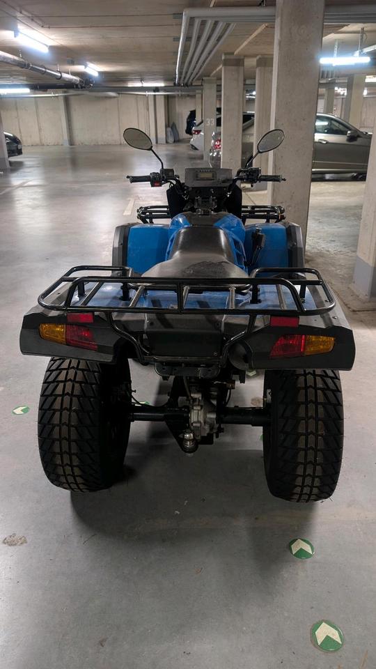Weitere Motorräder Quad Buyang FA-D300 2x4; AHK; 2.783,6km Laufleistung 2009 — двигун 276 ccm