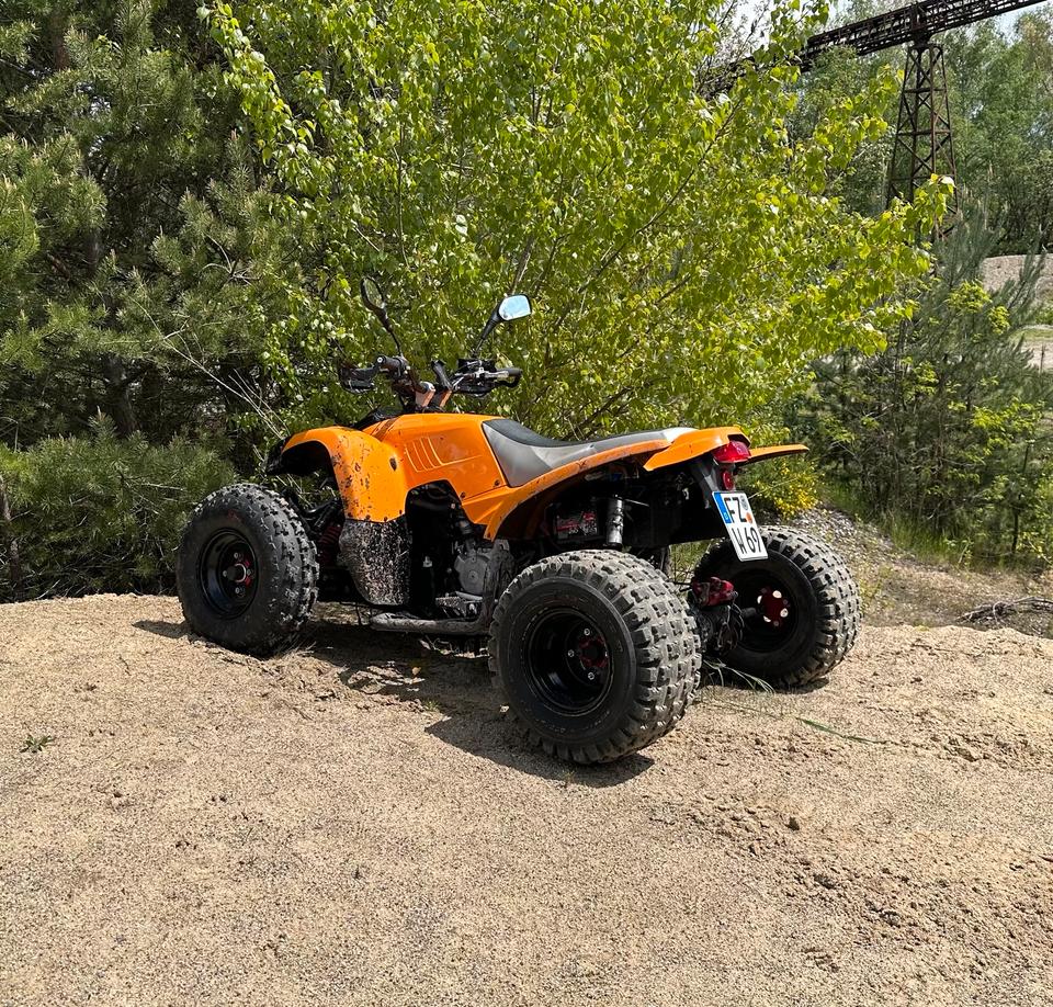Weitere Motorräder Quad Luxxon Adly Hurricane 500ccm 2009 — rear view