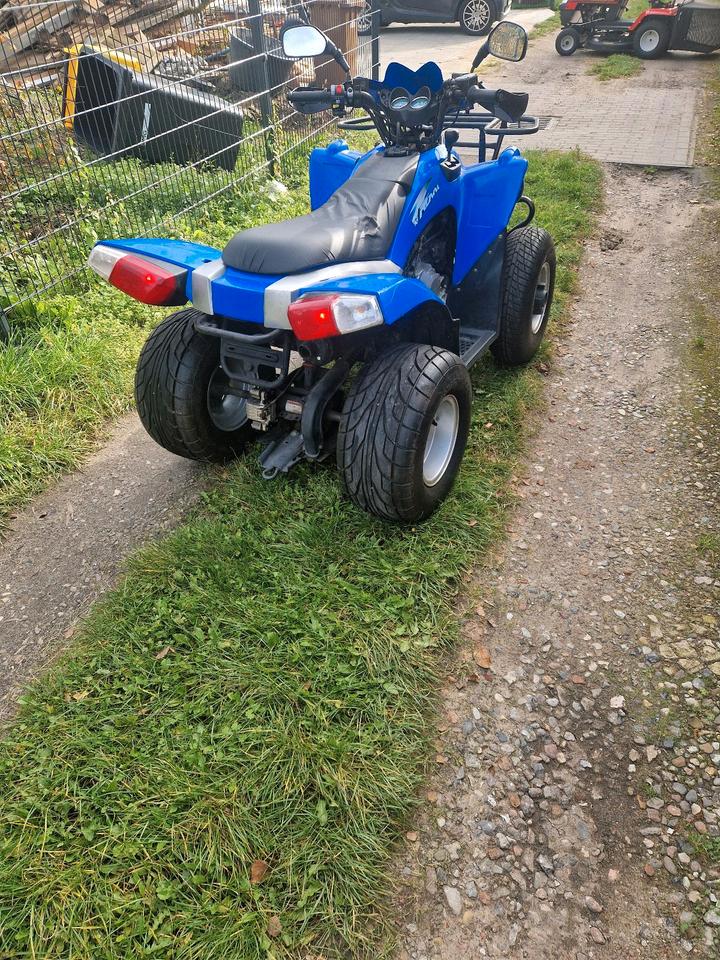 Quad Atv Truckrunner 2008 — interior