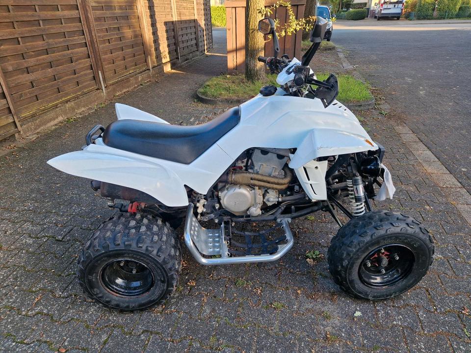  Gelöscht • Quad Dinli 450 2011 — rear view