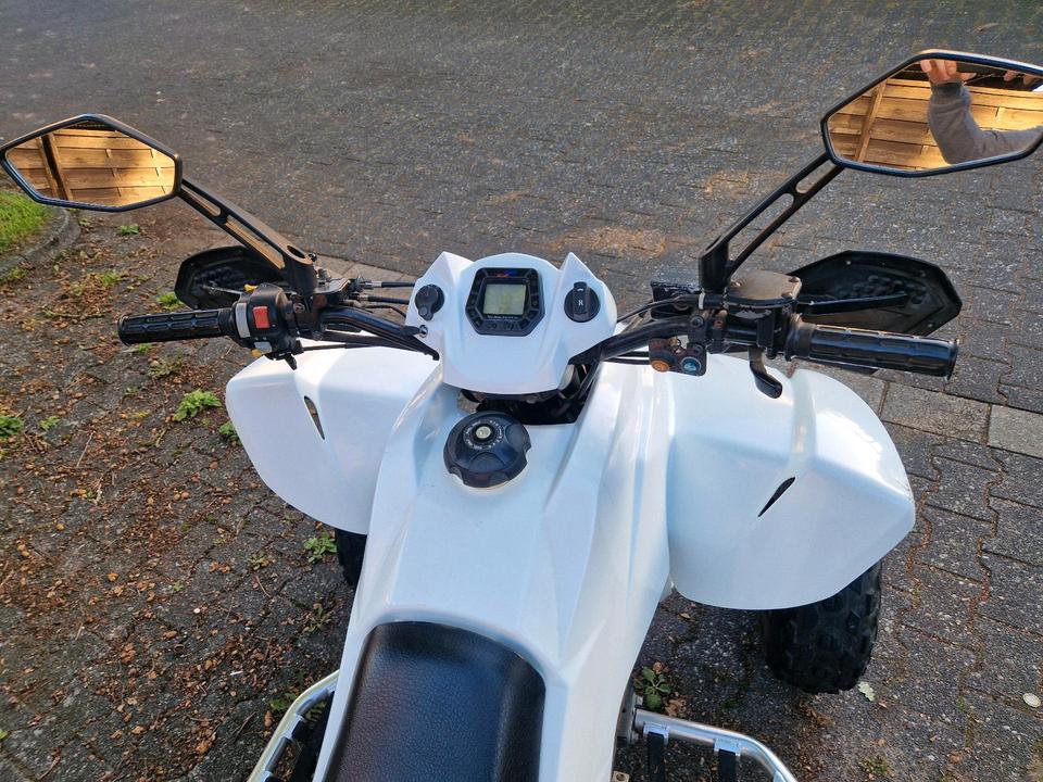  Gelöscht • Quad Dinli 450 2011 — engine 448 ccm